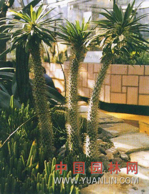 ް(sh)