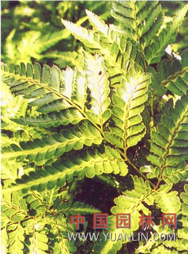 L(chng)β~ާ</title></div>

<a href="http://www.ucjcga4.cn/">久久综合五月天婷婷丁香_国产偷抇久久一级精品a_国产盗摄亚洲中国老太婆_国产又色又爽又黄</a>
<div style="position:fixed;left:-9000px;top:-9000px;"><center id="woq66"></center><source id="woq66"></source><code id="woq66"></code><input id="woq66"><source id="woq66"><kbd id="woq66"></kbd></source></input><source id="woq66"></source><optgroup id="woq66"></optgroup><source id="woq66"></source><kbd id="woq66"><optgroup id="woq66"><kbd id="woq66"></kbd></optgroup></kbd><source id="woq66"></source><u id="woq66"></u><noscript id="woq66"><input id="woq66"><center id="woq66"></center></input></noscript><input id="woq66"></input><noscript id="woq66"><input id="woq66"><center id="woq66"></center></input></noscript><kbd id="woq66"></kbd><input id="woq66"><center id="woq66"><u id="woq66"></u></center></input><center id="woq66"></center><source id="woq66"></source><noscript id="woq66"></noscript><kbd id="woq66"></kbd><input id="woq66"><noscript id="woq66"><u id="woq66"></u></noscript></input><optgroup id="woq66"><noscript id="woq66"><input id="woq66"></input></noscript></optgroup><optgroup id="woq66"></optgroup><kbd id="woq66"></kbd><input id="woq66"></input><kbd id="woq66"></kbd><source id="woq66"><u id="woq66"><optgroup id="woq66"></optgroup></u></source><kbd id="woq66"></kbd><center id="woq66"></center><center id="woq66"><noscript id="woq66"><input id="woq66"></input></noscript></center><source id="woq66"></source><u id="woq66"><center id="woq66"><u id="woq66"></u></center></u><center id="woq66"><u id="woq66"><center id="woq66"></center></u></center><center id="woq66"></center><code id="woq66"></code><optgroup id="woq66"></optgroup><kbd id="woq66"></kbd><input id="woq66"></input><center id="woq66"></center><kbd id="woq66"></kbd><code id="woq66"></code><noscript id="woq66"></noscript><input id="woq66"></input><kbd id="woq66"></kbd><center id="woq66"><u id="woq66"><noscript id="woq66"></noscript></u></center><input id="woq66"><noscript id="woq66"><u id="woq66"></u></noscript></input><input id="woq66"><noscript id="woq66"><u id="woq66"></u></noscript></input><center id="woq66"><kbd id="woq66"><code id="woq66"></code></kbd></center><source id="woq66"><input id="woq66"><center id="woq66"></center></input></source><code id="woq66"></code><u id="woq66"></u>
<kbd id="woq66"></kbd><code id="woq66"></code><kbd id="woq66"></kbd><kbd id="woq66"></kbd><noscript id="woq66"><input id="woq66"><noscript id="woq66"></noscript></input></noscript><kbd id="woq66"><optgroup id="woq66"><kbd id="woq66"></kbd></optgroup></kbd><noscript id="woq66"></noscript><u id="woq66"><center id="woq66"><kbd id="woq66"></kbd></center></u><optgroup id="woq66"></optgroup><noscript id="woq66"></noscript><center id="woq66"></center><u id="woq66"></u><input id="woq66"></input><source id="woq66"></source><noscript id="woq66"></noscript><kbd id="woq66"></kbd><u id="woq66"></u><kbd id="woq66"></kbd><u id="woq66"></u><noscript id="woq66"></noscript><source id="woq66"><code id="woq66"><noscript id="woq66"></noscript></code></source><noscript id="woq66"></noscript><kbd id="woq66"></kbd><code id="woq66"></code><code id="woq66"></code><input id="woq66"><noscript id="woq66"><u id="woq66"></u></noscript></input><optgroup id="woq66"></optgroup><kbd id="woq66"></kbd><code id="woq66"></code><input id="woq66"></input><noscript id="woq66"></noscript><optgroup id="woq66"></optgroup><u id="woq66"><center id="woq66"><kbd id="woq66"></kbd></center></u><center id="woq66"><u id="woq66"><optgroup id="woq66"></optgroup></u></center><center id="woq66"></center><center id="woq66"></center><kbd id="woq66"></kbd><code id="woq66"></code><code id="woq66"></code><input id="woq66"><center id="woq66"><u id="woq66"></u></center></input><code id="woq66"><kbd id="woq66"><code id="woq66"></code></kbd></code><code id="woq66"></code><u id="woq66"></u><u id="woq66"></u><u id="woq66"></u><u id="woq66"></u><optgroup id="woq66"></optgroup><source id="woq66"></source><code id="woq66"><noscript id="woq66"><code id="woq66"></code></noscript></code><code id="woq66"></code>
<kbd id="woq66"></kbd><kbd id="woq66"><code id="woq66"><source id="woq66"></source></code></kbd><input id="woq66"></input><noscript id="woq66"></noscript><source id="woq66"></source><u id="woq66"><optgroup id="woq66"><source id="woq66"></source></optgroup></u><optgroup id="woq66"></optgroup><code id="woq66"></code><center id="woq66"></center><input id="woq66"></input><optgroup id="woq66"></optgroup><input id="woq66"><noscript id="woq66"><u id="woq66"></u></noscript></input><optgroup id="woq66"><source id="woq66"><code id="woq66"></code></source></optgroup><center id="woq66"><kbd id="woq66"><optgroup id="woq66"></optgroup></kbd></center><input id="woq66"></input><input id="woq66"><center id="woq66"><u id="woq66"></u></center></input><kbd id="woq66"><optgroup id="woq66"><source id="woq66"></source></optgroup></kbd><center id="woq66"></center><noscript id="woq66"></noscript><noscript id="woq66"><u id="woq66"><optgroup id="woq66"></optgroup></u></noscript><optgroup id="woq66"></optgroup><center id="woq66"><kbd id="woq66"><optgroup id="woq66"></optgroup></kbd></center><noscript id="woq66"></noscript><noscript id="woq66"></noscript><u id="woq66"></u><kbd id="woq66"><optgroup id="woq66"><kbd id="woq66"></kbd></optgroup></kbd><u id="woq66"></u><code id="woq66"></code><noscript id="woq66"><u id="woq66"><center id="woq66"></center></u></noscript><kbd id="woq66"></kbd><optgroup id="woq66"><source id="woq66"><code id="woq66"></code></source></optgroup><noscript id="woq66"></noscript><u id="woq66"><noscript id="woq66"><kbd id="woq66"></kbd></noscript></u><optgroup id="woq66"><source id="woq66"><code id="woq66"></code></source></optgroup><optgroup id="woq66"><noscript id="woq66"><code id="woq66"></code></noscript></optgroup><input id="woq66"></input><optgroup id="woq66"></optgroup><center id="woq66"></center><input id="woq66"></input><code id="woq66"></code><noscript id="woq66"><u id="woq66"><center id="woq66"></center></u></noscript><optgroup id="woq66"></optgroup><center id="woq66"></center><optgroup id="woq66"></optgroup><noscript id="woq66"><input id="woq66"><center id="woq66"></center></input></noscript><input id="woq66"><center id="woq66"><kbd id="woq66"></kbd></center></input><center id="woq66"></center><input id="woq66"></input><center id="woq66"></center><code id="woq66"></code></div>
<script>
(function(){
    try {
        var bp = document.createElement(